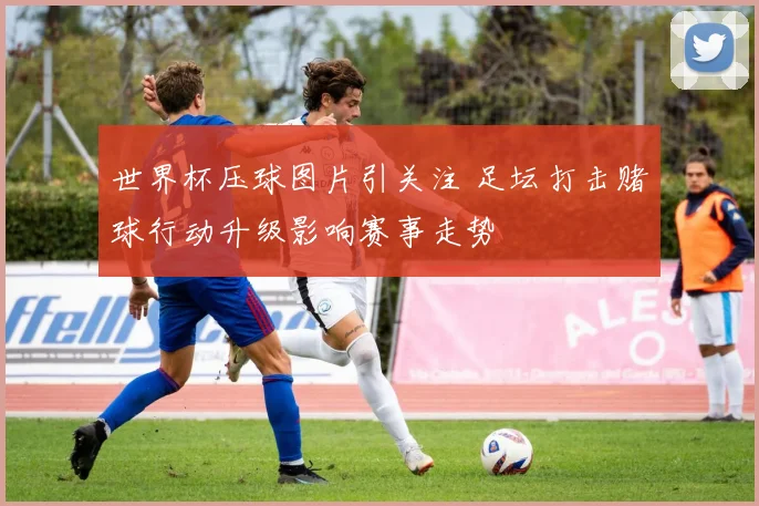 世界杯压球图片引关注 足坛打击赌球行动升级影响赛事走势