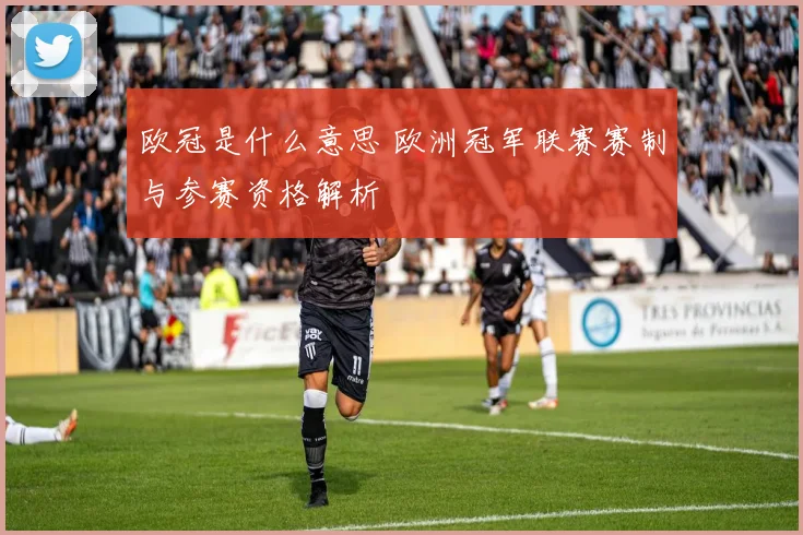 欧冠是什么意思 欧洲冠军联赛赛制与参赛资格解析