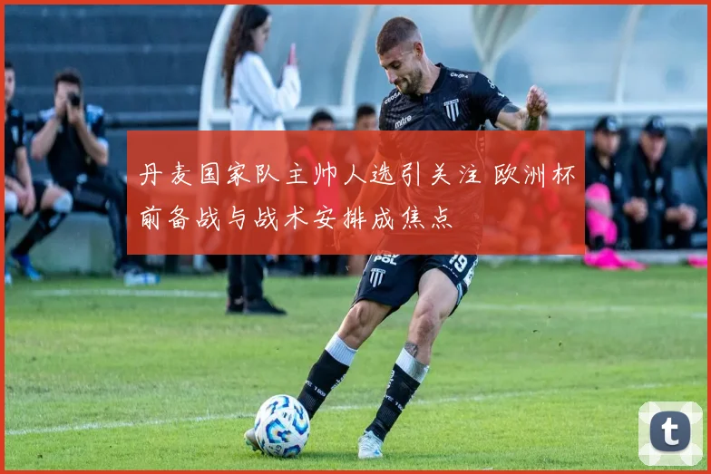 丹麦国家队主帅人选引关注 欧洲杯前备战与战术安排成焦点